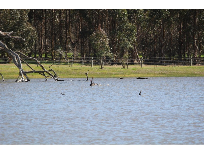 Meins Road, Bulart VIC 3314