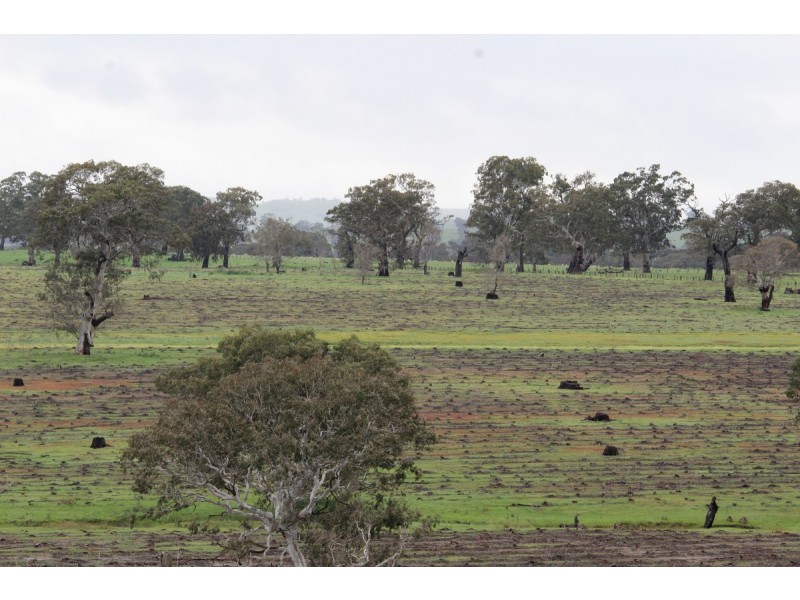 89d Thompson Street, Hamilton VIC 3300