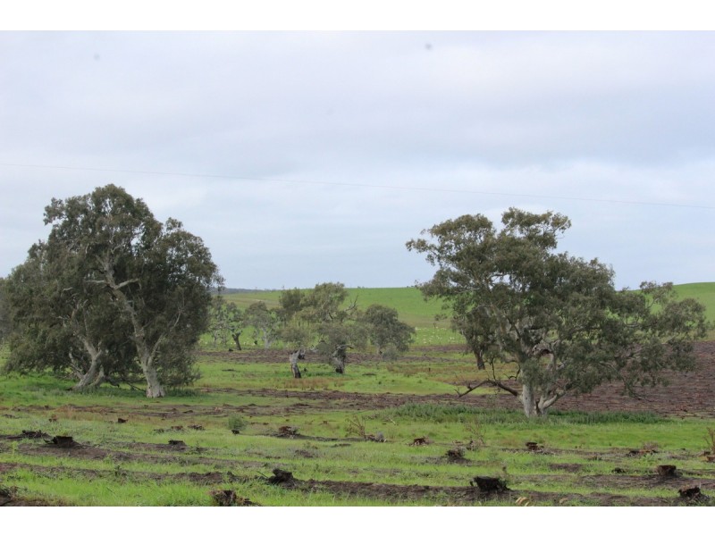 89d Thompson Street, Hamilton VIC 3300