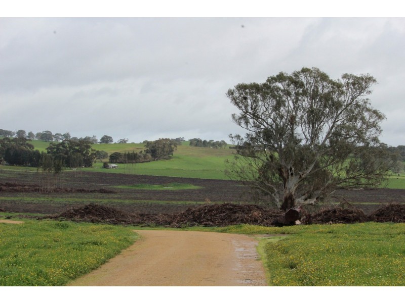 89d Thompson Street, Hamilton VIC 3300