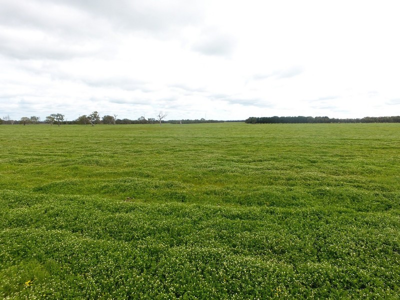 Connewarren Lane, Mortlake VIC 3272