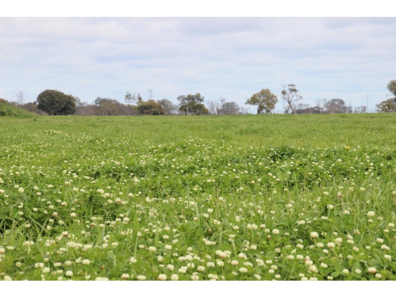 Connewarren Lane, Mortlake VIC 3272