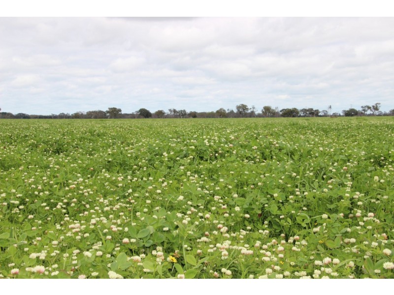 Connewarren Lane, Mortlake VIC 3272