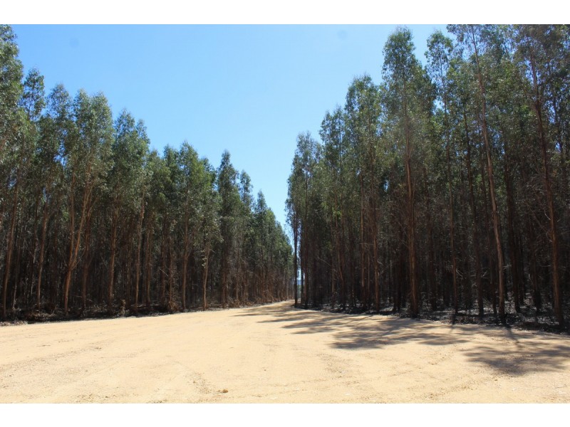 44A Gray Street, Hamilton VIC 3300