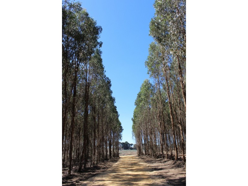 44A Gray Street, Hamilton VIC 3300