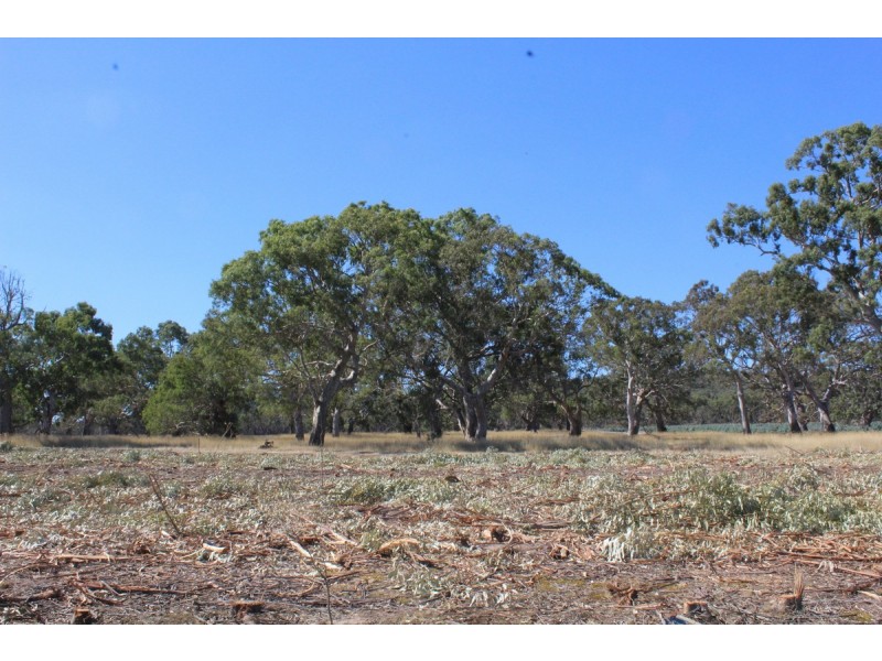 44A Gray Street, Hamilton VIC 3300