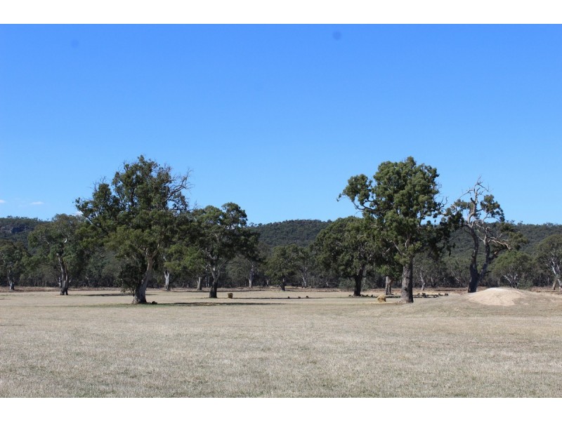 44A Gray Street, Hamilton VIC 3300