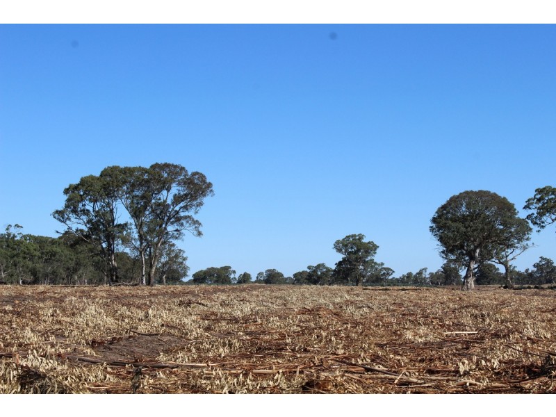 44A Gray Street, Hamilton VIC 3300