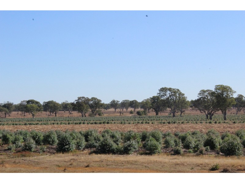 44A Gray Street, Hamilton VIC 3300