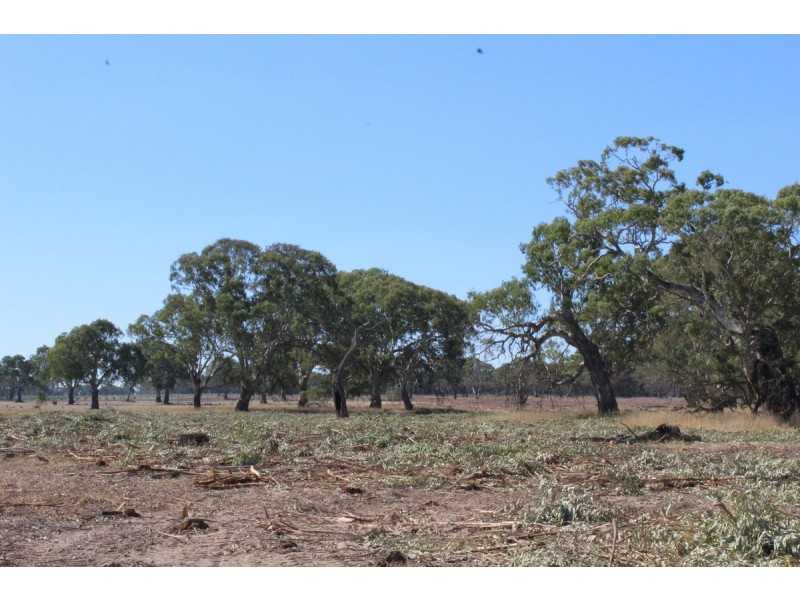 44A Gray Street, Hamilton VIC 3300