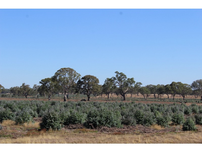 44A Gray Street, Hamilton VIC 3300