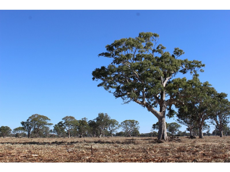 44A Gray Street, Hamilton VIC 3300