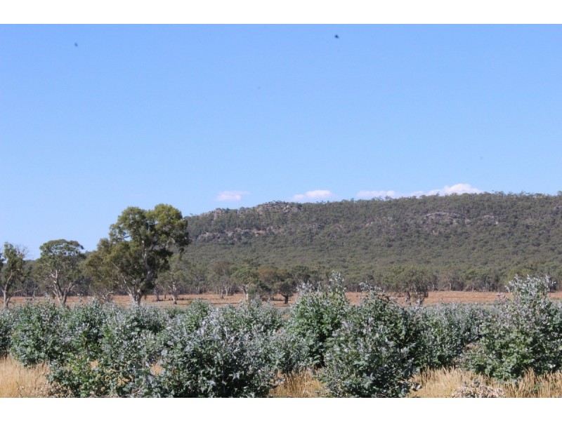 44A Gray Street, Hamilton VIC 3300