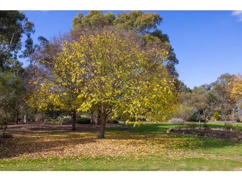 145 Perns Lane, Englefield VIC 3407