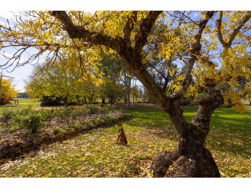 145 Perns Lane, Englefield VIC 3407