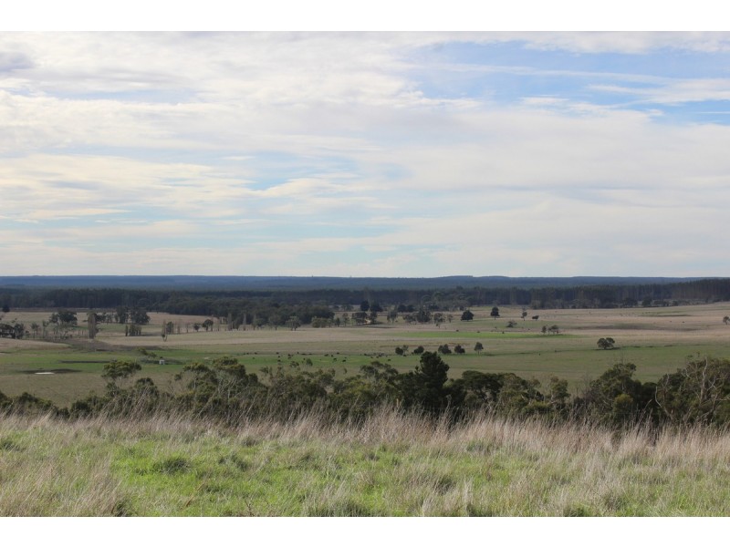 Princes Highway, Drik Drik VIC 3304