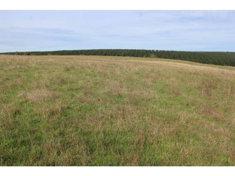 Princes Highway, Drik Drik VIC 3304