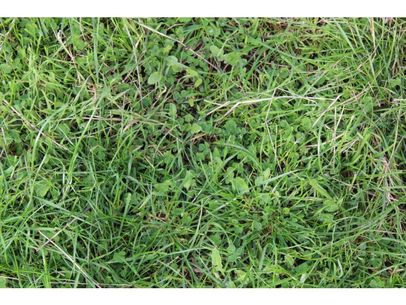 Princes Highway, Drik Drik VIC 3304