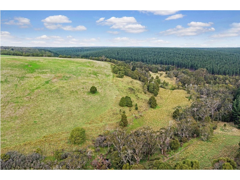 Princes Highway, Drik Drik VIC 3304