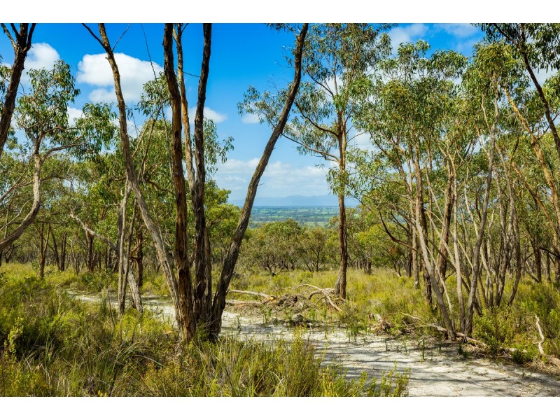 267 Dundas Gap Road, Cavendish VIC 3314