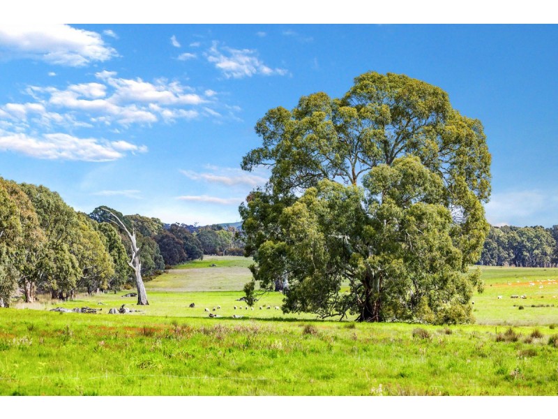 Coach Road, Buangor VIC 3375