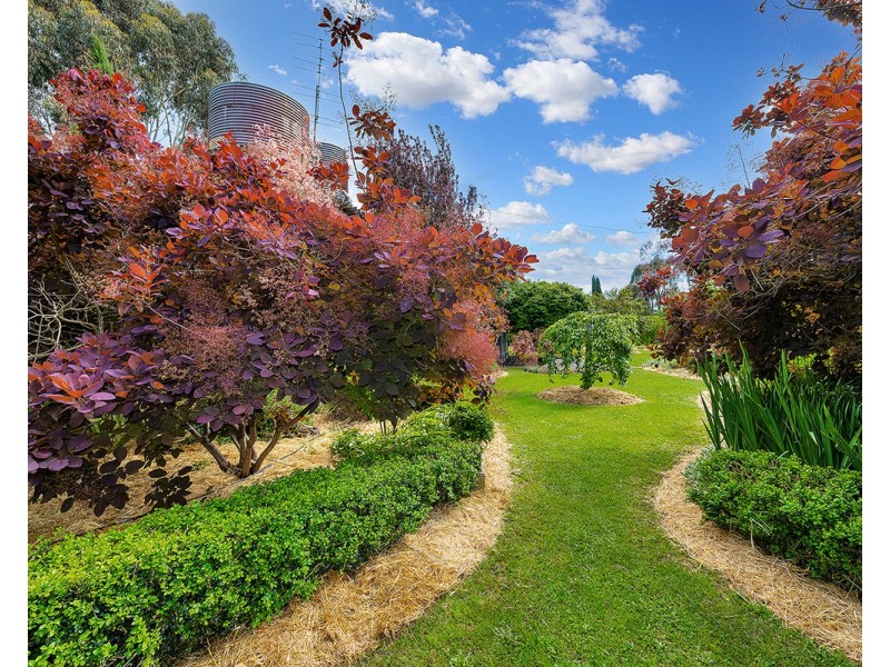 271 Pierrepoint Road, Tarrington VIC 3301