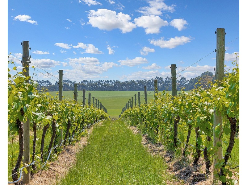 271 Pierrepoint Road, Tarrington VIC 3301