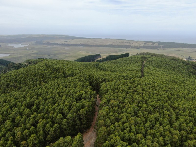 44 Gray Street, Hamilton VIC 3300