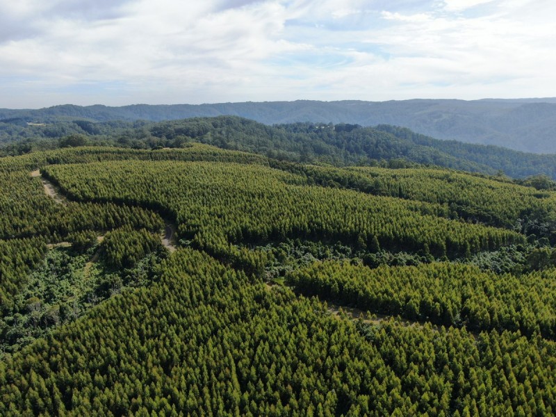 44 Gray Street, Hamilton VIC 3300