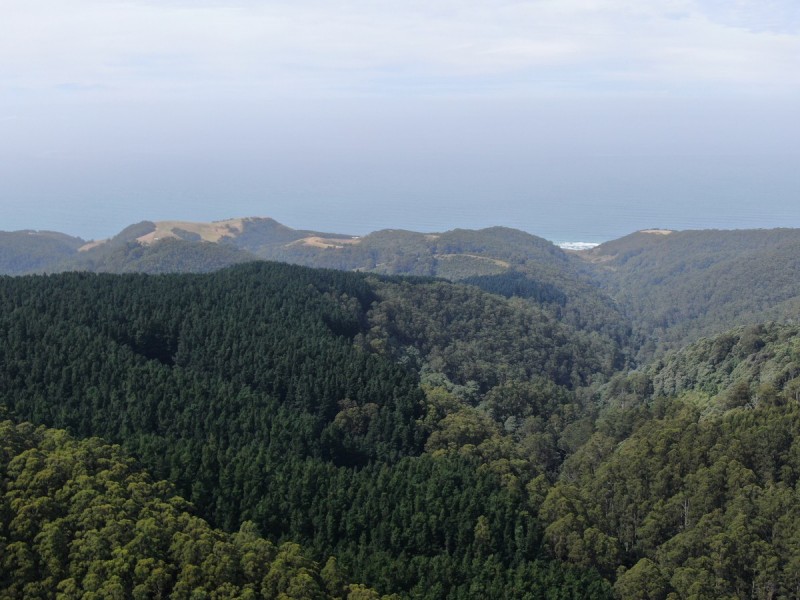 44 Gray Street, Hamilton VIC 3300