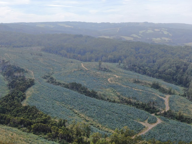 44 Gray Street, Hamilton VIC 3300