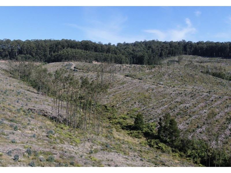 44 Gray Street, Hamilton VIC 3300