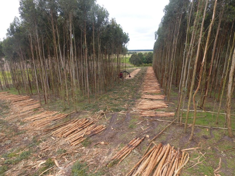 44 Gray Street, Hamilton VIC 3300