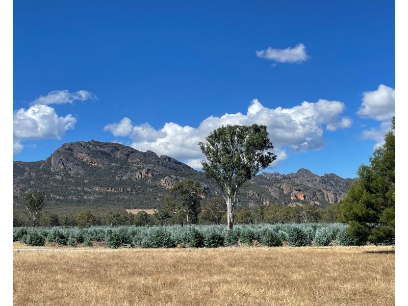 44 Gray Street, Hamilton VIC 3300