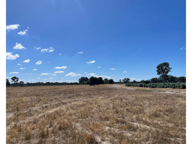 44 Gray Street, Hamilton VIC 3300