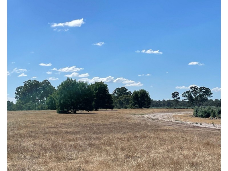 44 Gray Street, Hamilton VIC 3300