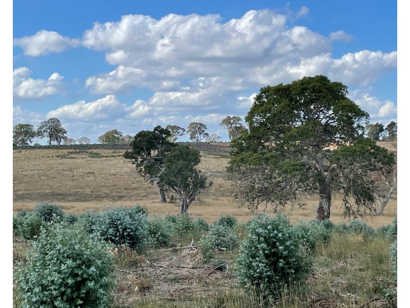 44 Gray Street, Hamilton VIC 3300