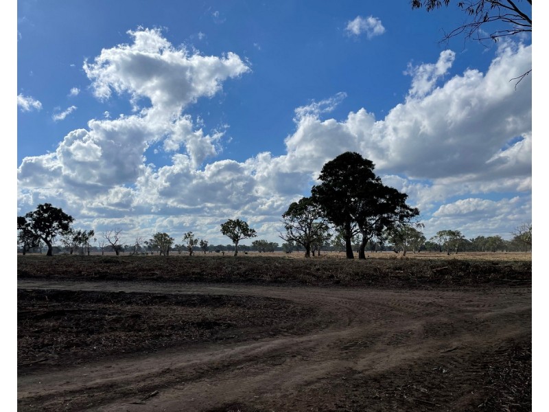 44 Gray Street, Hamilton VIC 3300