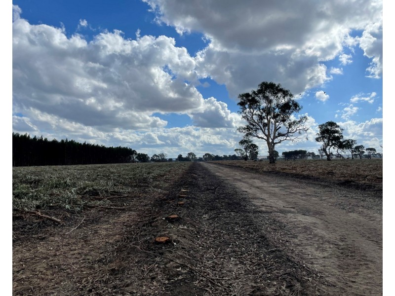 44 Gray Street, Hamilton VIC 3300