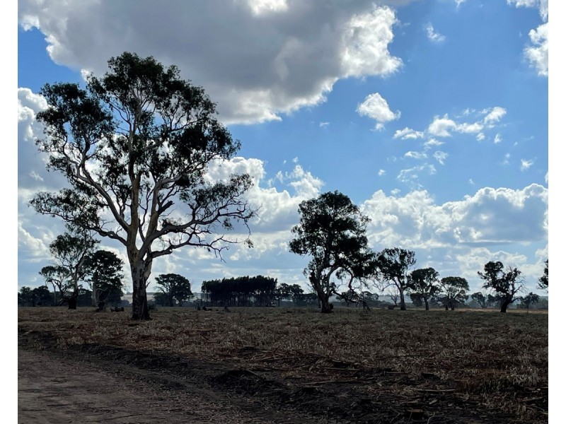 44 Gray Street, Hamilton VIC 3300