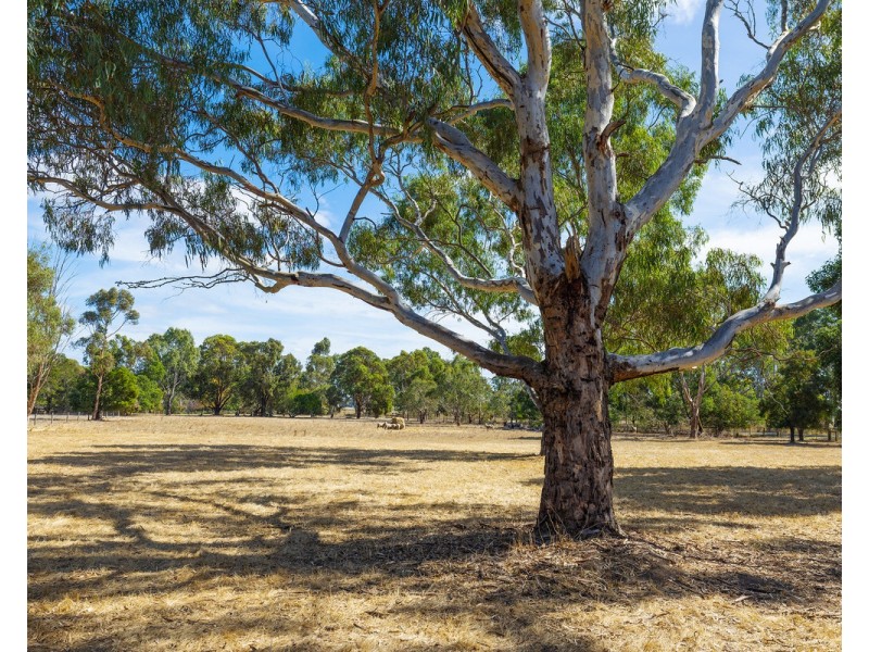 4 J Addinsalls Road, Hamilton VIC 3300