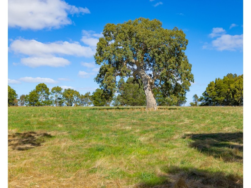 4 J Addinsalls Road, Hamilton VIC 3300