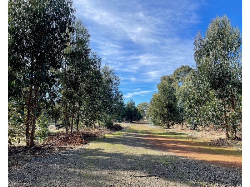 260 Bells Lane, Vasey VIC 3407