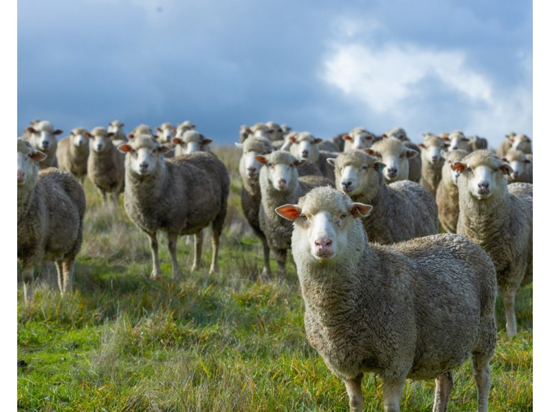 120 McKellars Road, Yulecart VIC 3301