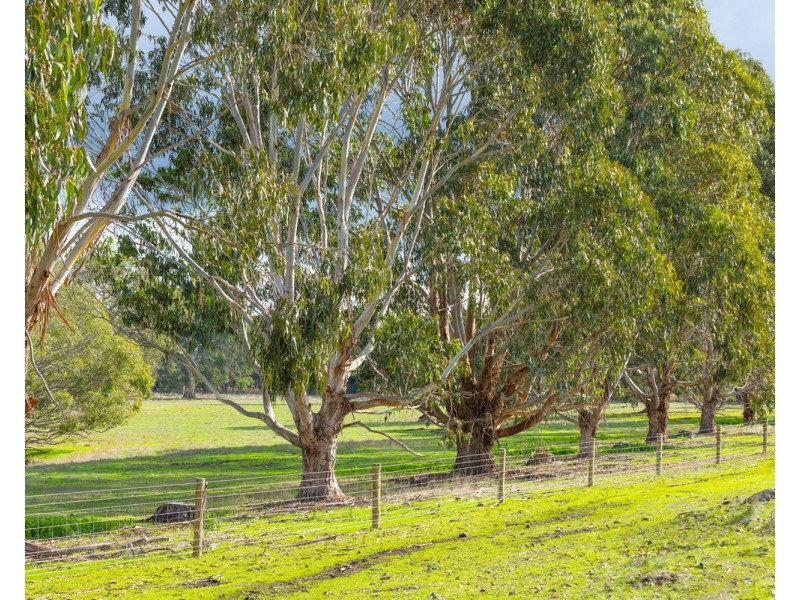 120 McKellars Road, Yulecart VIC 3301