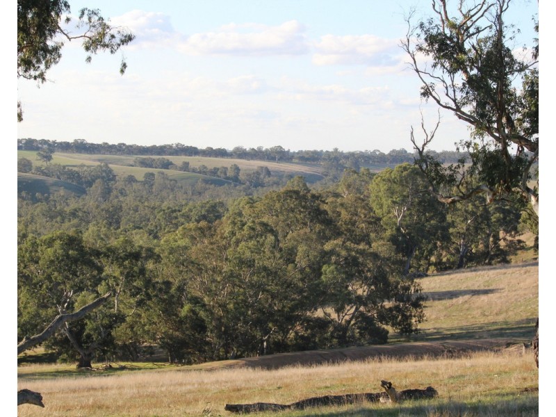 4970 Coleraine Edenhope Road, Harrow VIC 3317