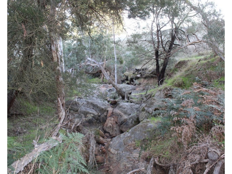 4970 Coleraine Edenhope Road, Harrow VIC 3317