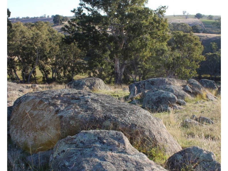 4970 Coleraine Edenhope Road, Harrow VIC 3317