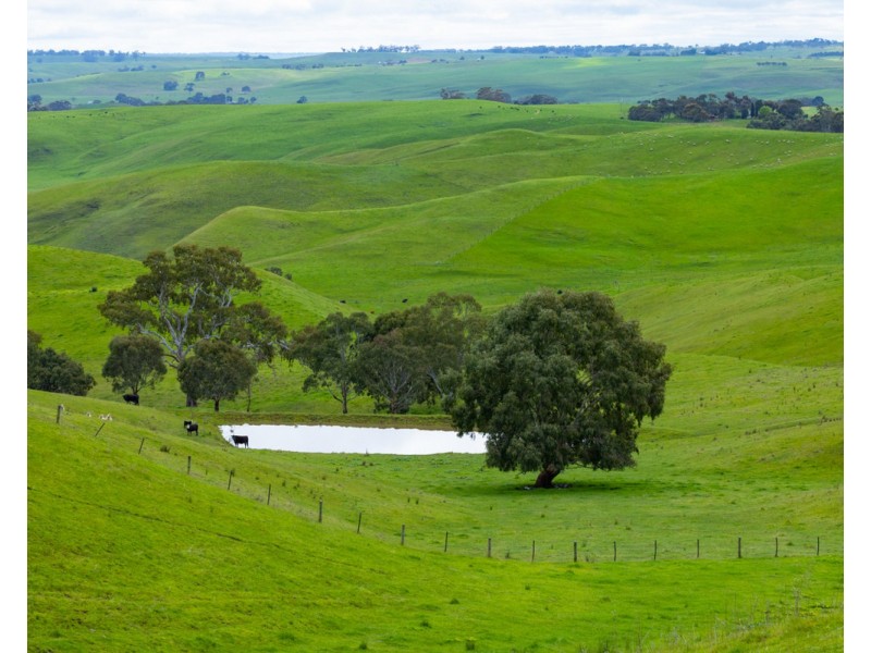 70 Sealeys Road, Sandford VIC 3312