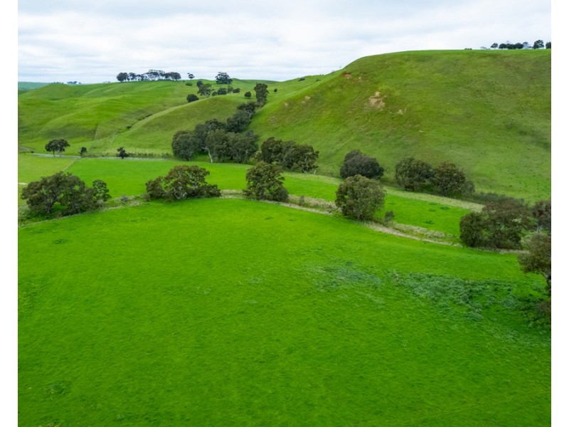 70 Sealeys Road, Sandford VIC 3312